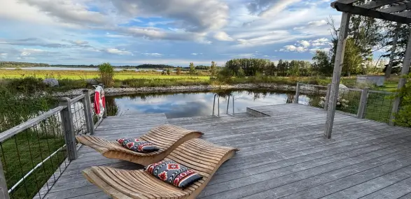 Naturpool mit Holzliegen und Blick auf den See in Schweden